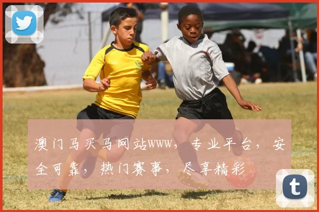 澳门马买马网站www，专业平台，安全可靠，热门赛事，尽享精彩