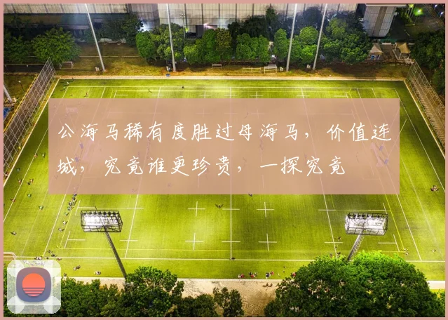 公海马稀有度胜过母海马，价值连城，究竟谁更珍贵，一探究竟