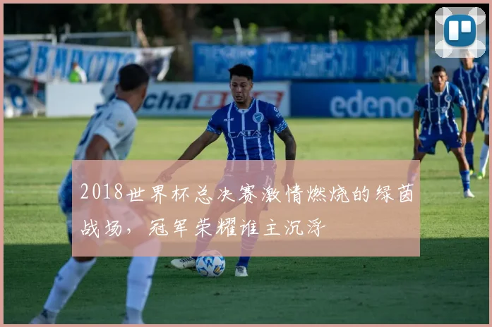 2018世界杯总决赛激情燃烧的绿茵战场，冠军荣耀谁主沉浮