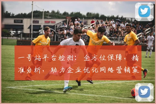 一号站平台检测：全方位保障，精准分析，助力企业优化网络营销策略